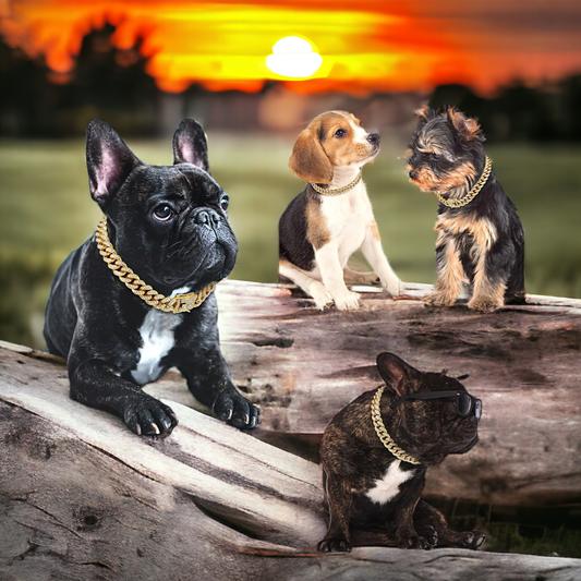 Gangsterdog Chain Collar - Gangsterdog