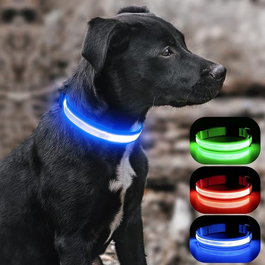 LED Glowing Dog Collar - Gangsterdog